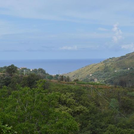 Vista D'Amare Bed & Breakfast Buonvicino ภายนอก รูปภาพ